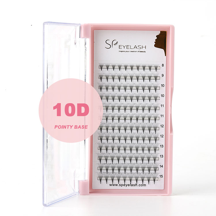10d fans promade lashes lashes