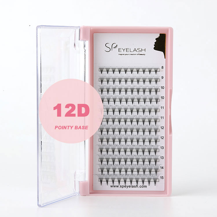 12d fans promade lashes