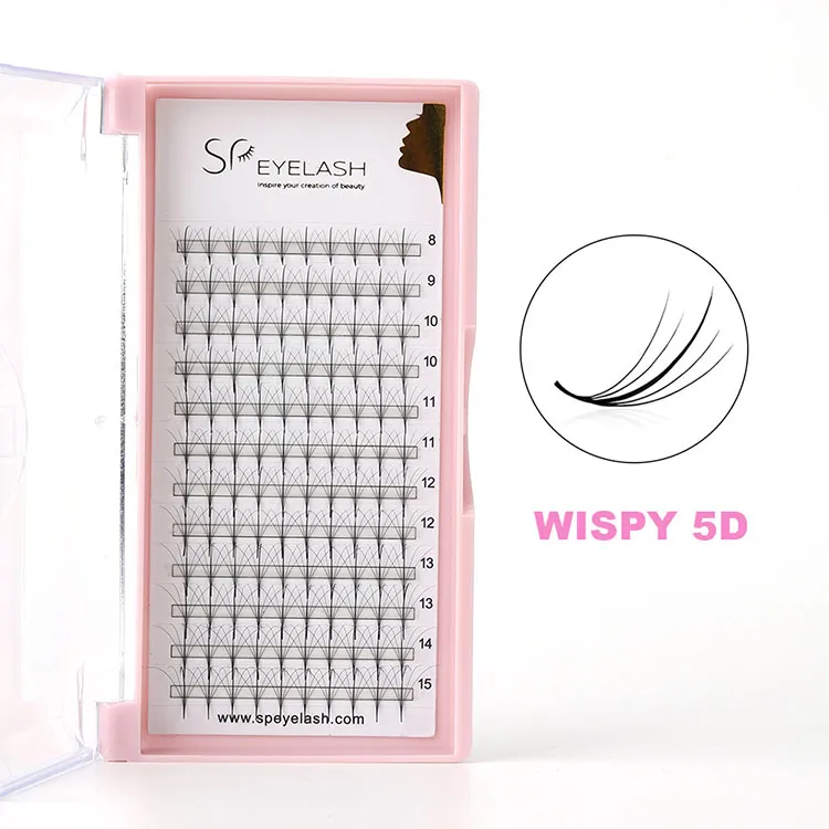 ວິທີການເລືອກແລະການດູແລ Wispy Lashes