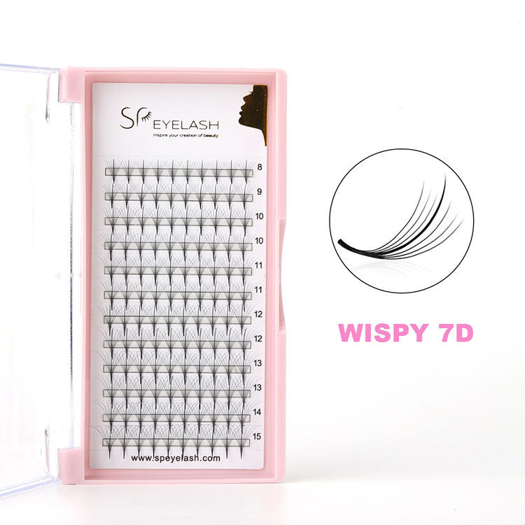 lashes wispy 7d