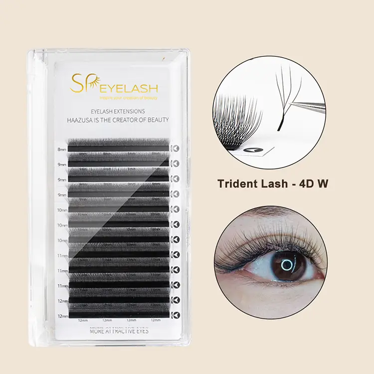 camellia 4DW lash