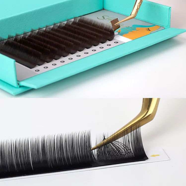lashes ພັດລົມລົດໃຫຍ່ Camellia