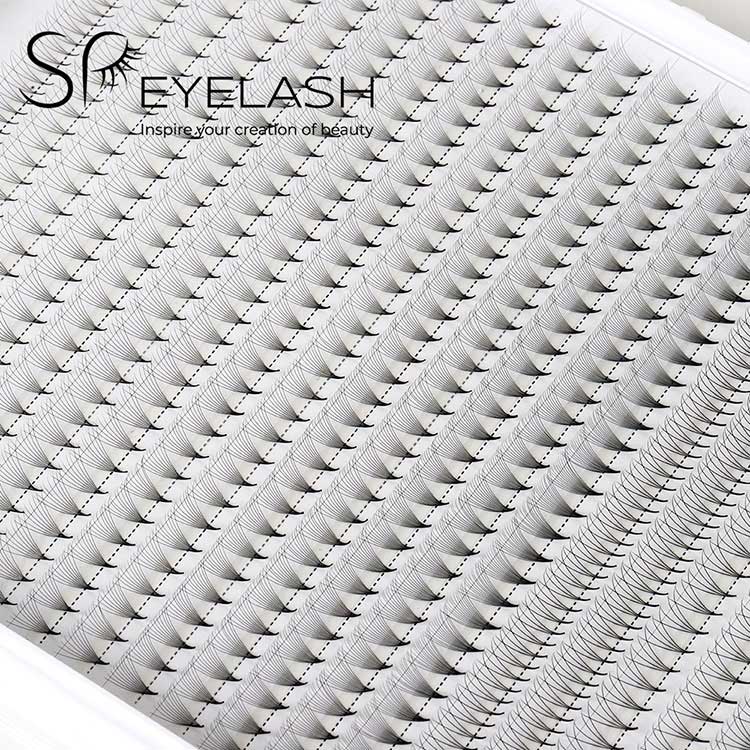 ຖານທີ່ສໍາຄັນຂອງ Basy Fan Lash